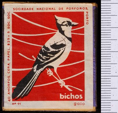 Bichos - Serie Vermelha (SNF-Porto) 11