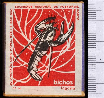 Bichos - Serie Vermelha (SNF-Porto) 14