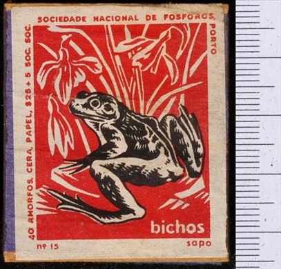 Bichos - Serie Vermelha (SNF-Porto) 15