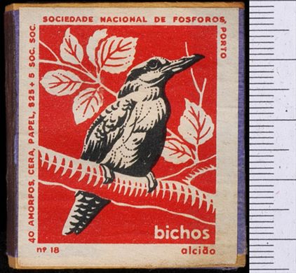 Bichos - Serie Vermelha (SNF-Porto) 18