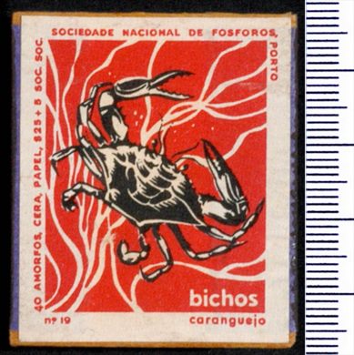 Bichos - Serie Vermelha (SNF-Porto) 19