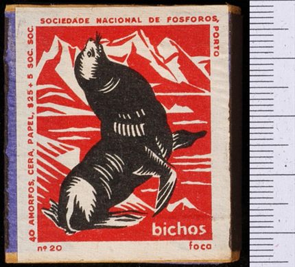 Bichos - Serie Vermelha (SNF-Porto) 20