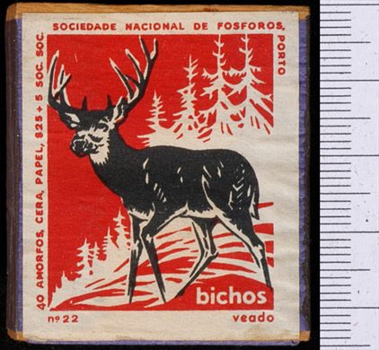 Bichos - Serie Vermelha (SNF-Porto) 22