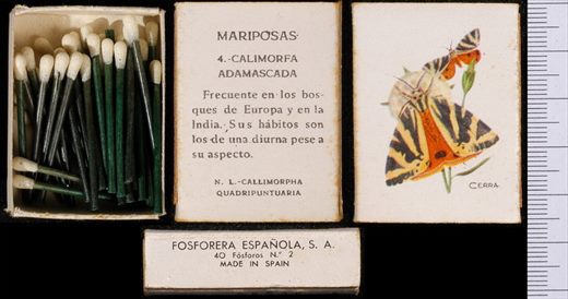 Borboletas (FESA) 04