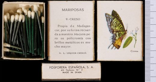 Borboletas (FESA) 09