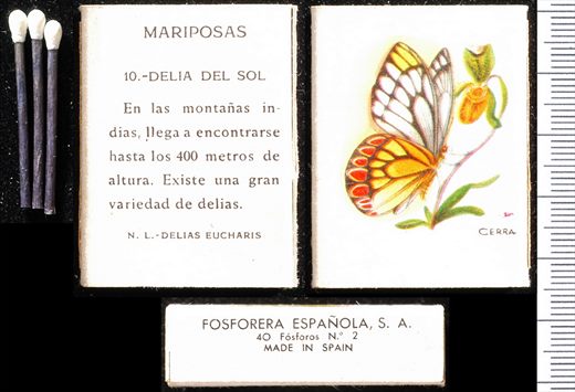 Borboletas (FESA) 10