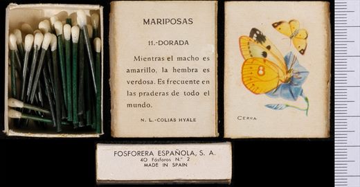 Borboletas (FESA) 11