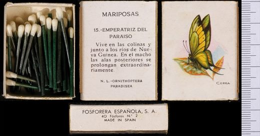 Borboletas (FESA) 15