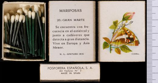 Borboletas (FESA) 20