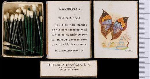 Borboletas (FESA) 21