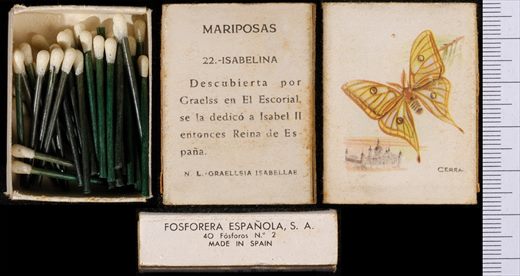 Borboletas (FESA) 22