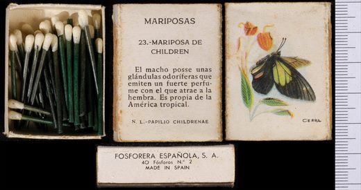 Borboletas (FESA) 23