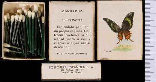 Borboletas (FESA) 28