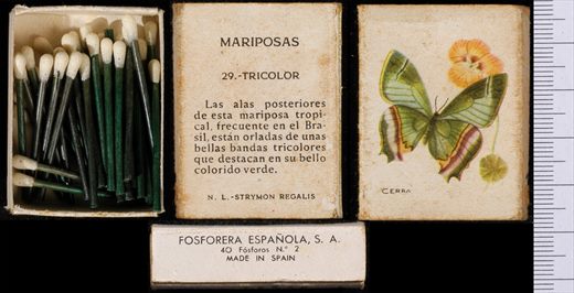 Borboletas (FESA) 29