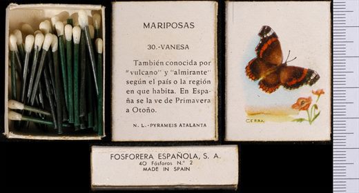 Borboletas (FESA) 30