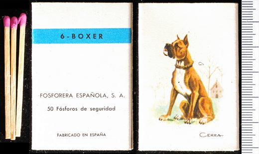 Caes (FESA) 06