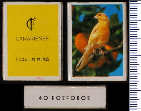 Canario (FCSA-Las Palmas) 40 fosforos
