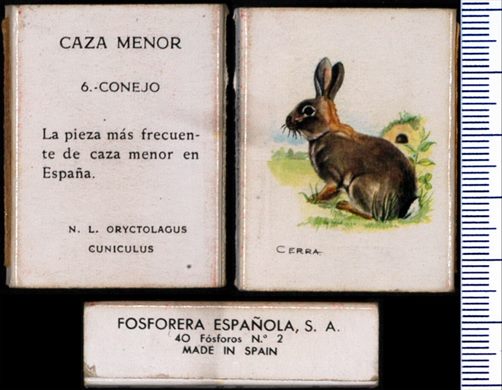 Caza Menor (FESA) 06