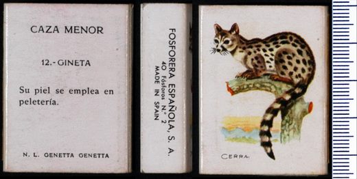 Caza Menor (FESA) 12