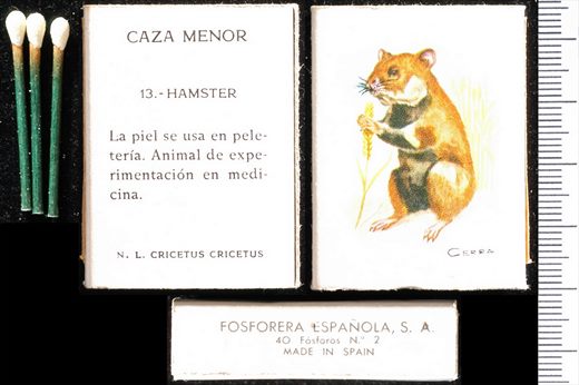 Caza Menor (FESA) 13