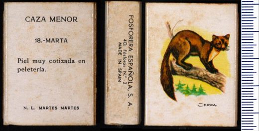 Caza Menor (FESA) 18
