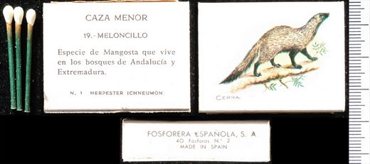 Caza Menor (FESA) 19