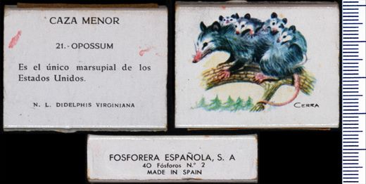 Caza Menor (FESA) 21