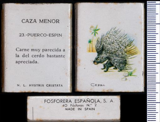 Caza Menor (FESA) 23