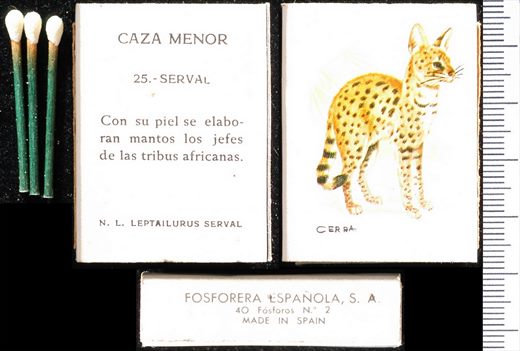 Caza Menor (FESA) 25
