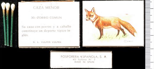 Caza Menor (FESA) 30