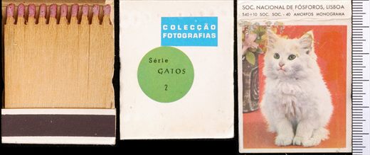 Coleccao Fotografias - Gatos (SNF-Lisboa) 02