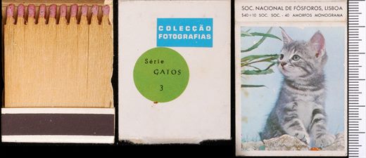 Coleccao Fotografias - Gatos (SNF-Lisboa) 03