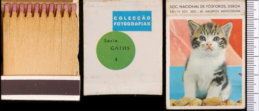 Coleccao Fotografias - Gatos (SNF-Lisboa) 04