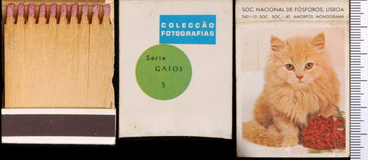 Coleccao Fotografias - Gatos (SNF-Lisboa) 05