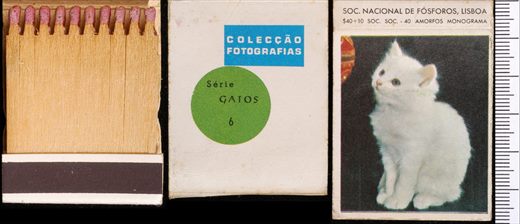 Coleccao Fotografias - Gatos (SNF-Lisboa) 06