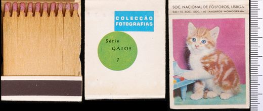 Coleccao Fotografias - Gatos (SNF-Lisboa) 07