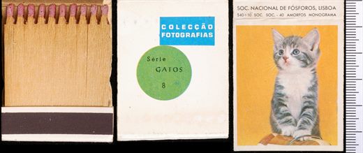 Coleccao Fotografias - Gatos (SNF-Lisboa) 08
