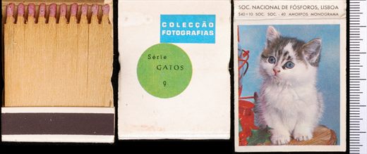 Coleccao Fotografias - Gatos (SNF-Lisboa) 09