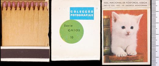 Coleccao Fotografias - Gatos (SNF-Lisboa) 10