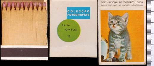 Coleccao Fotografias - Gatos (SNF-Lisboa) 11