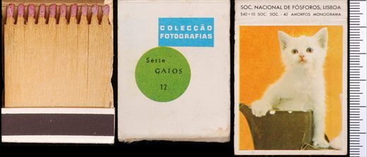 Coleccao Fotografias - Gatos (SNF-Lisboa) 12