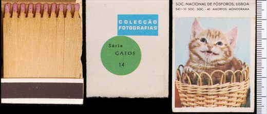 Coleccao Fotografias - Gatos (SNF-Lisboa) 14