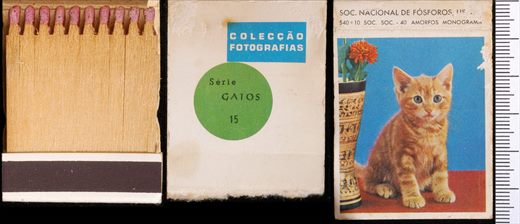 Coleccao Fotografias - Gatos (SNF-Lisboa) 15