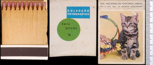 Coleccao Fotografias - Gatos (SNF-Lisboa) 16