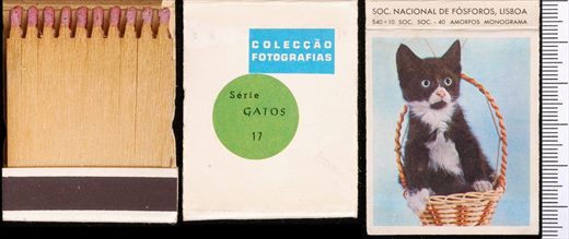 Coleccao Fotografias - Gatos (SNF-Lisboa) 17