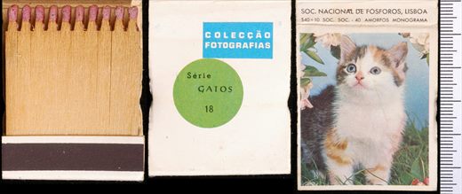 Coleccao Fotografias - Gatos (SNF-Lisboa) 18