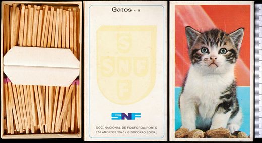 Gatos (SNF-Porto) 09