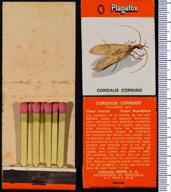 Plagatox - Coridalis Cornudo