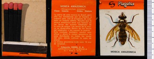 Plagatox - Mosca Amazonica