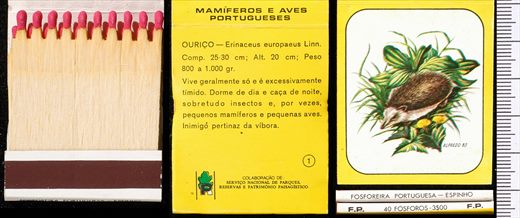 Mamiferos e Aves Portugueses 01